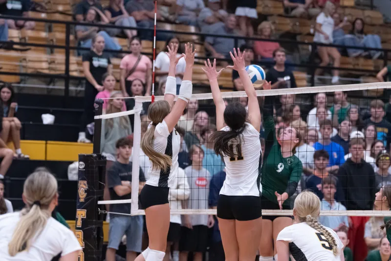 Volleyball photo 2